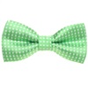 Boy's Pistachio Green Bow Tie with Dots