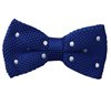 Royal Blue Bow Tie with Dots