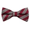 Burgundy and Beige Stripes Bow Tie