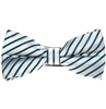 Silver Grey Stripes Bow Tie