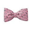 Pink with Paisley Bow Tie