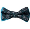 Turquoise Bow Tie Cashmere