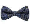 Green Bow Tie Paisley Design