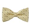 Yellow Bow Tie and Pocket Square with Dots