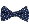 Blue Bow Tie and Pocket Square with Flowers