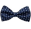 Blue Bow Tie and Pocket Square with Daisies