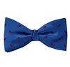 Royal Blue Bow Tie and Pocket Square with Paisley