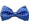 Royal Blue Bow Tie and Pocket Square with Daisies