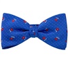 Royal Blue Bow Tie and Pocket Square with Red Roses