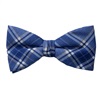 Blue Checked Bow Tie and Pocket Square