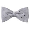 Grey Bow Tie and Pocket Square with Dots