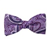Purple Bow Tie and Pocket Square with Lilac Cashmere