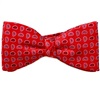 Red Bow Tie and Pocket Square with Blue Cashmere