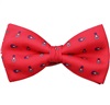 Red Bow Tie and Pocket Square with Blue Stirrup