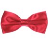 Red Strawberry Bow Tie and Pocket Square