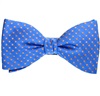 Royal Blue and Orange Bow Tie and Pocket Square