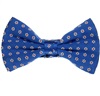 Royal Blue Silk Bow Tie and Pocket Square with Daisies