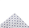White Silk Pocket Square with Grey Paisley